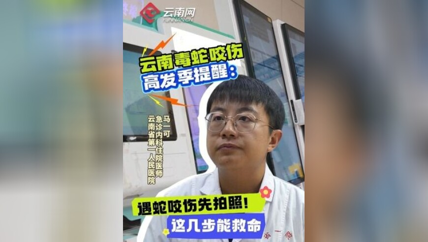 新澳门2025年管家婆一句话赢,西藏开通拉萨至尼泊尔新航线,决策资料解释落实_视频版V9.18